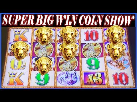 SUPER BIG WIN BUFFALO GOLD SLOT MACHINE 🙃 26 FREE SPINS RETRIGGER