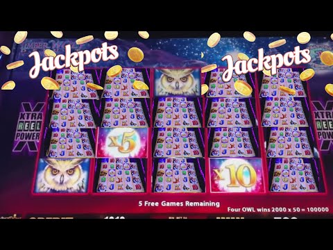 🔥🔥🔥BEST JACKPOTS! BIG BETS! & INCREDIBLE WINS on TIMBERWOLF SLOT MACHINES!