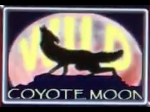 Coyote Moon ✦LIVE PLAY MAX BET✦ Slot Machine at Harrahs Las Vegas