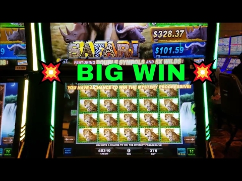 ★FULL SCREEN BIG WIN★ Big 5 Safari Slot Machine💥 Progressive Jackpot💥 Win