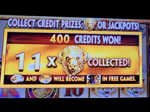 EPIC Win on Buffalo Gold Revolution! Started with 11 Buffalo Heads!