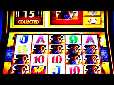 !! HUGE HANDPAY JACKPOT !! FINALLY, 15 GOLD BUFFALO !! * BUFFALO GOLD REVOLUTION 1c SLOT * ! 1196X !